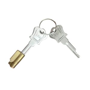 Universal Chastity Lock Key